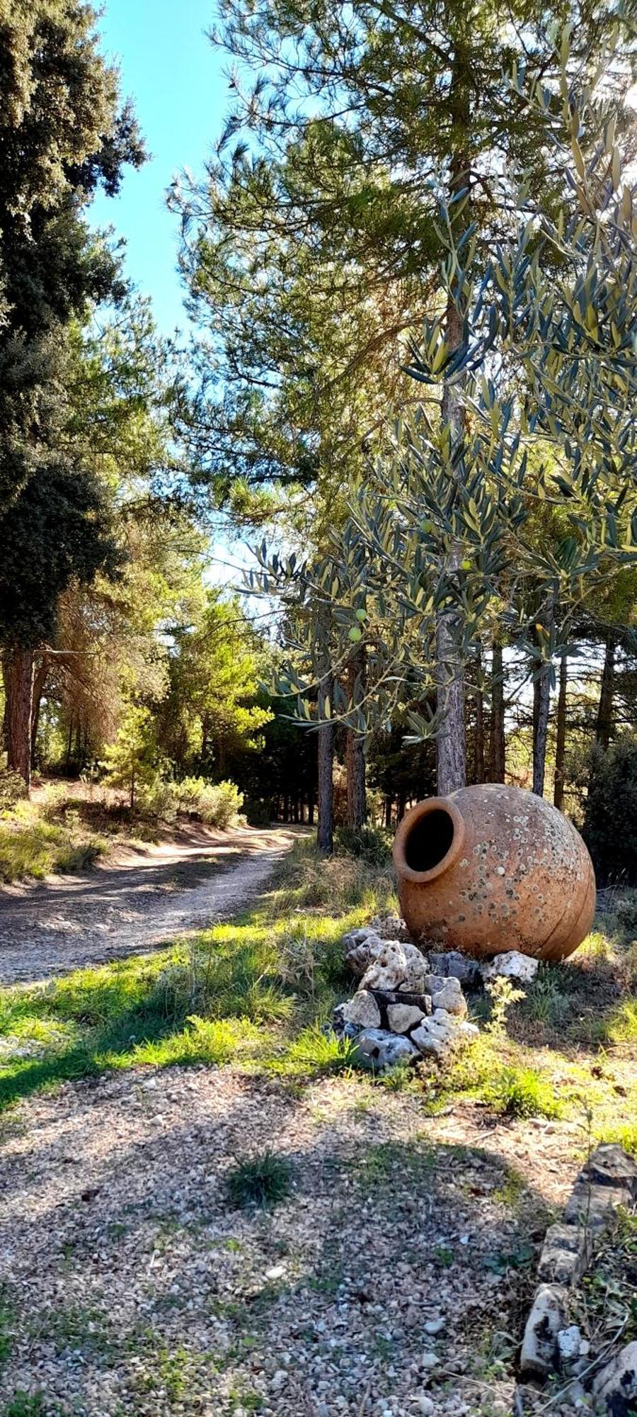 Villa Sanz Cuenca  Luaran gambar
